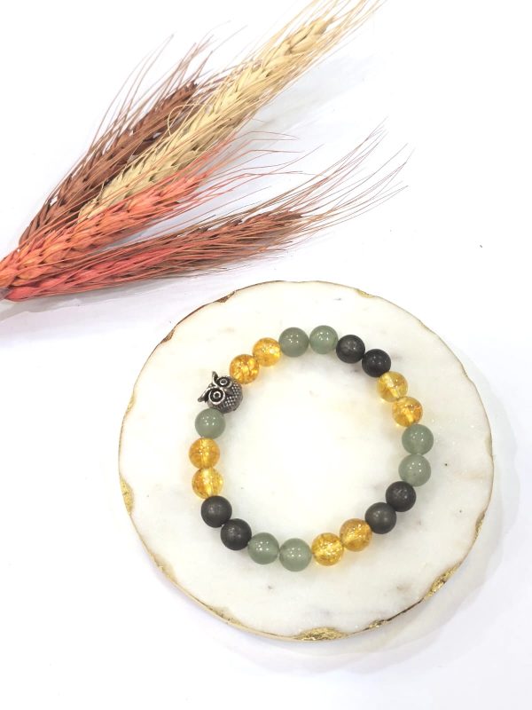 Money Magnet Bracelet